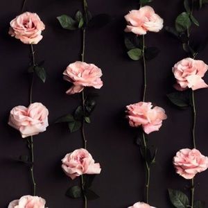 Send offers ✨🤍🦋